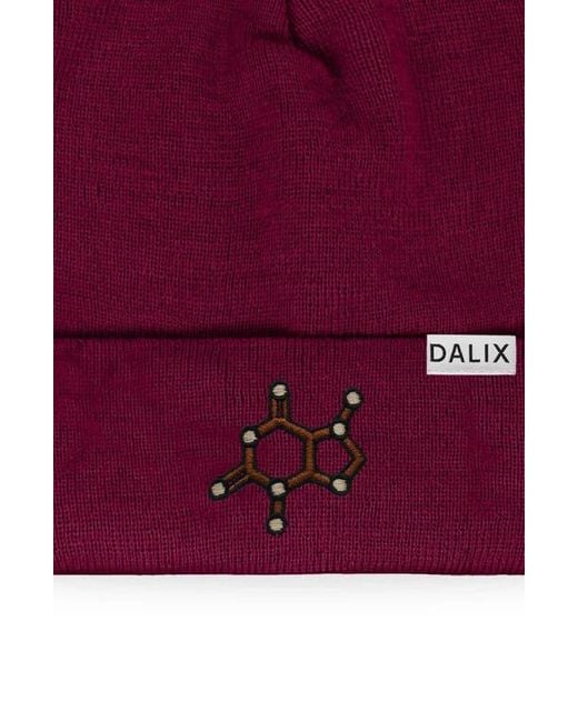 Alix Red Molecule Beanie for men