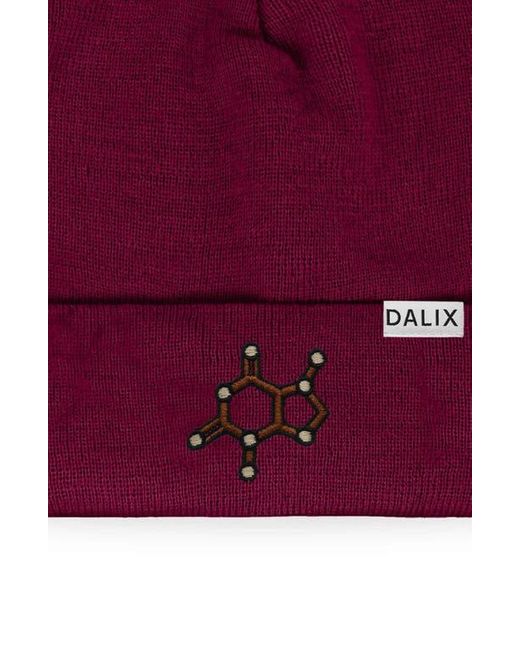 Alix Red Molecule Beanie for men