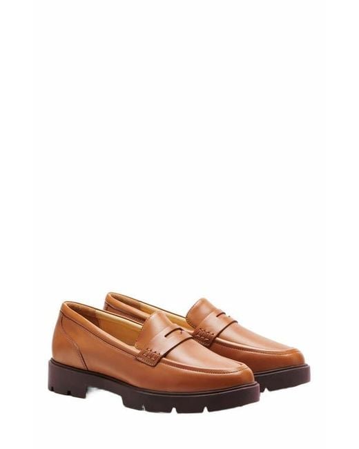 ABEO Brown Boulevard Loafer