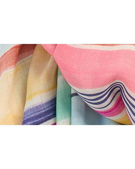 Echo Multicolor Painted Stripe Scarf