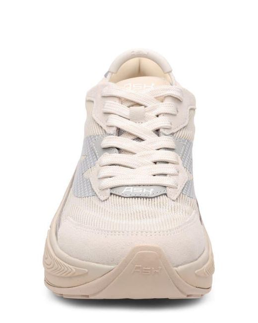 Ash White Eagle Platform Sneaker