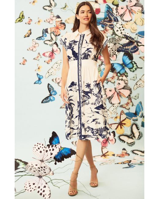 Maggy London Multicolor Placed Print Stretch Cotton Midi Shirtdress