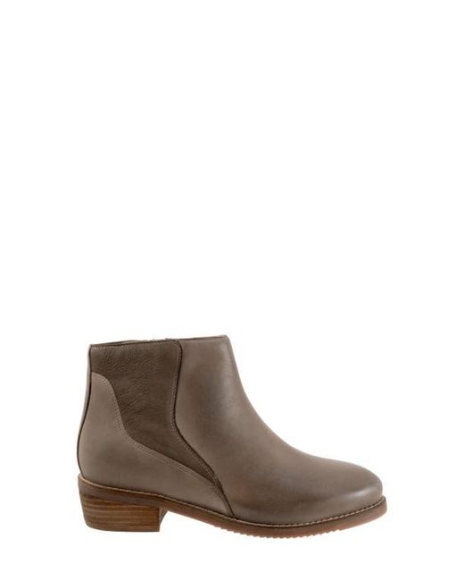 Softwalk® Brown Racine Bootie