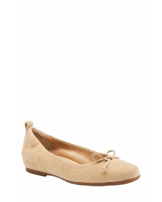 ABEO White Cadence Bow Ballet Flat