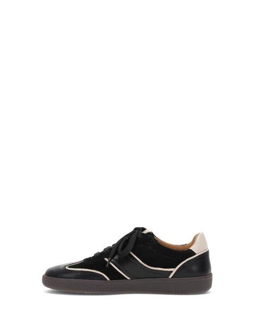 Frye Black Milly Low Top Sneaker