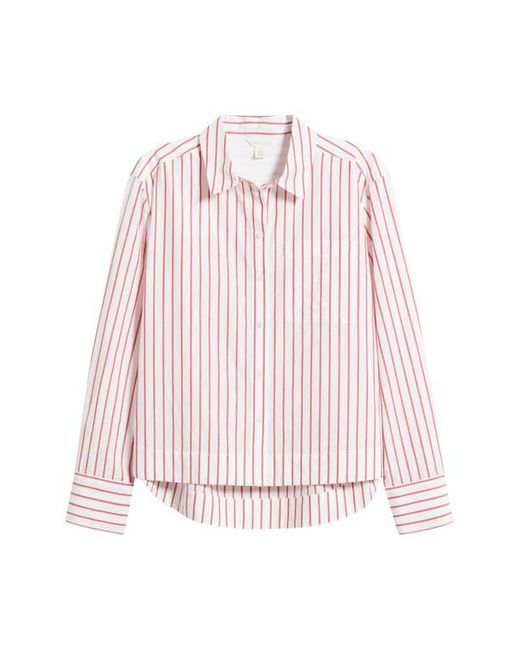 Caslon Red Long Sleeve Drop Hem Button-Up Shirt