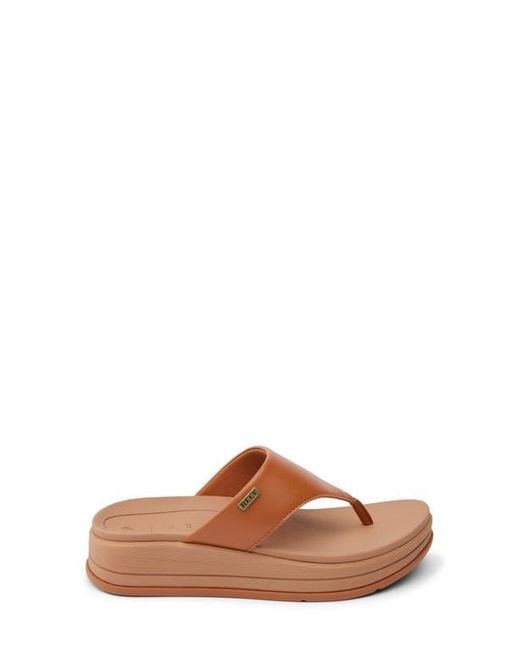 Reef Brown Aura Serenity Platform Flip Flop