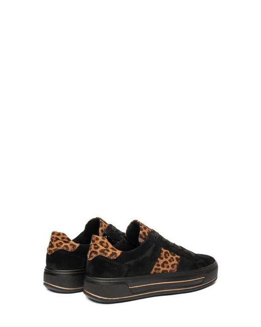 Ara Black Conifer Sneaker