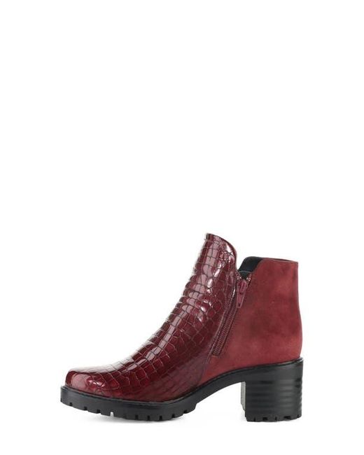Bos. & Co. Purple Inara Bootie