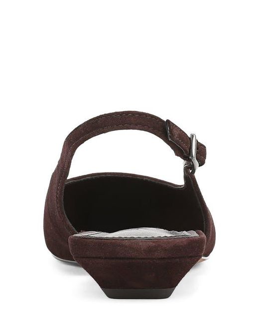 Sam Edelman Brown Netty Slingback Pointed Toe Flat