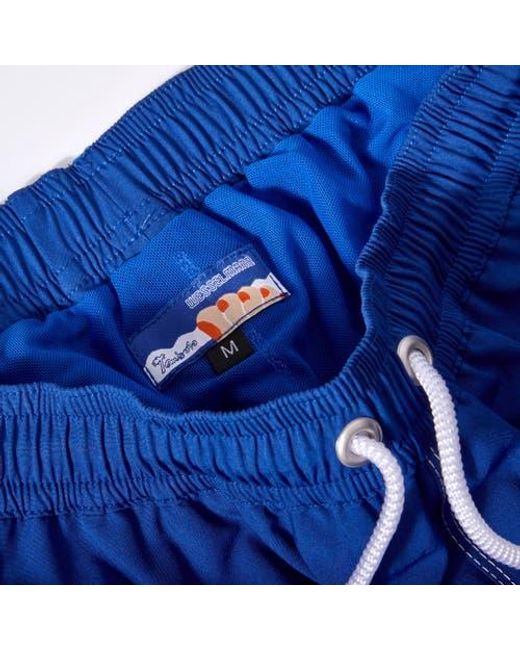 Tombolo Blue 'Tom Wesselmann