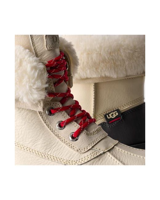 Ugg Multicolor Adirondack Xxv Waterproof Boot