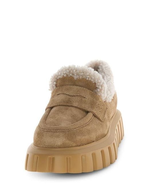 Voile Blanche Brown Grenelle Genuine Shearling Platform Loafer
