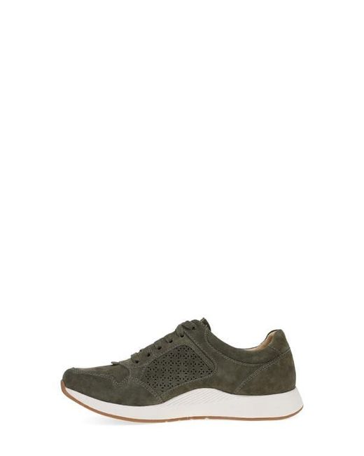 Dansko Gray Catie Sneaker