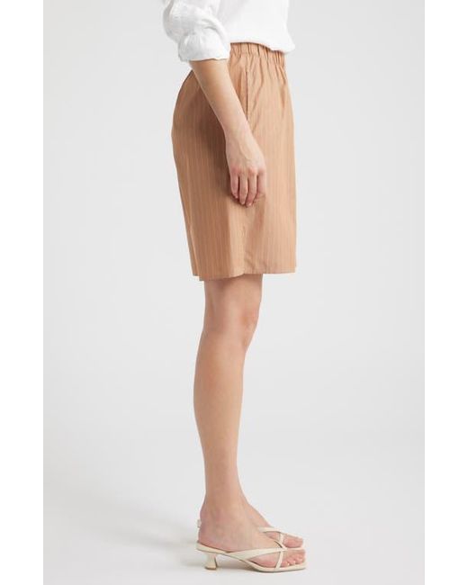 CISSA Brown Knee Length Shorts