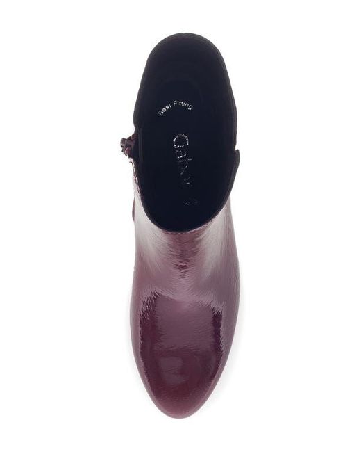 Gabor Purple Bootie