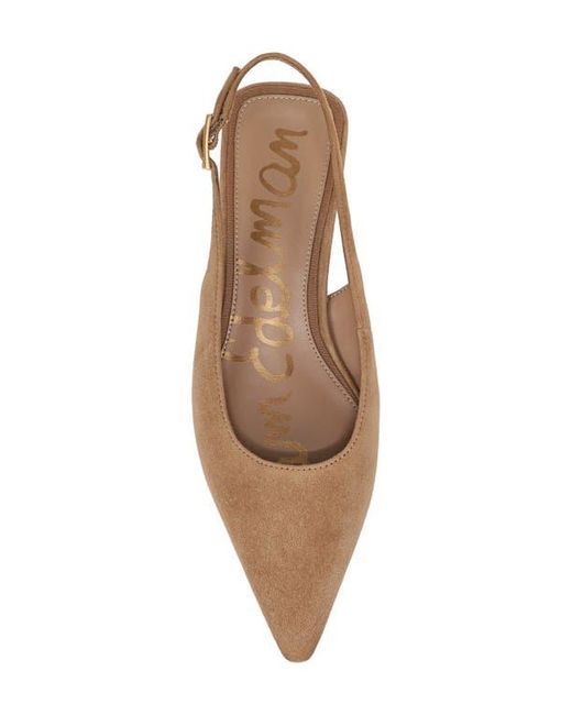 Sam Edelman Brown Netty Slingback Pointed Toe Flat
