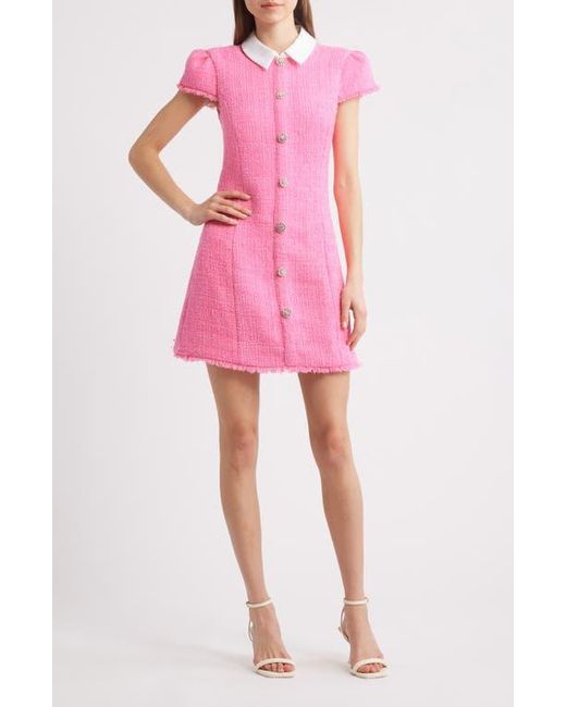 Likely Riello Tweed Dress in Pink | Lyst Likely Riello Tweed Dress in Pink | Lyst