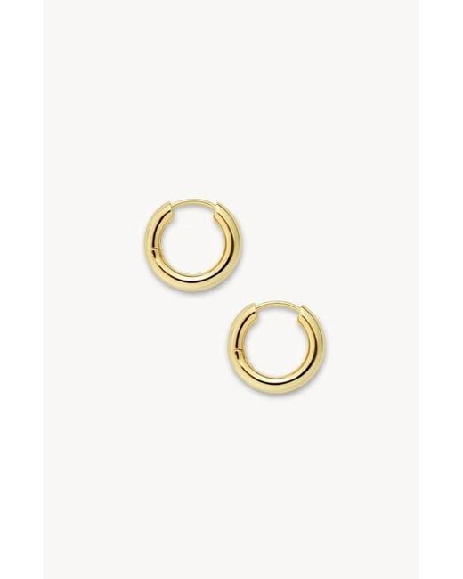 Machete Metallic Petite Hoops