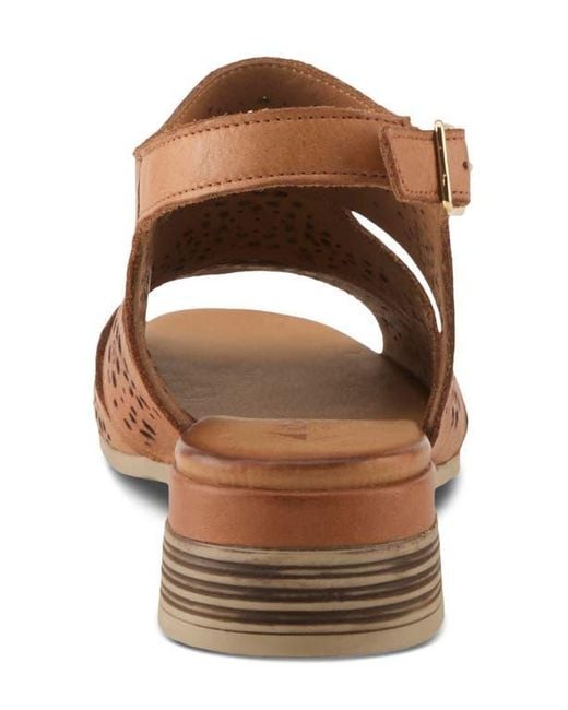 Spring Step Brown Plasma Ankle Strap Sandal