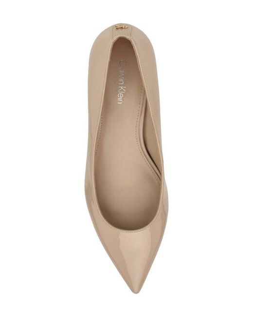 Calvin Klein Brown Roxanna Pointed Toe Pump