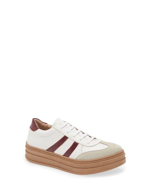 Chocolat Blu White Valox Sneaker