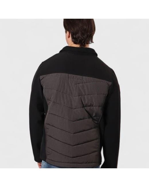 canada weather gear Black Hybrid Softshell Puffer Jacket for men
