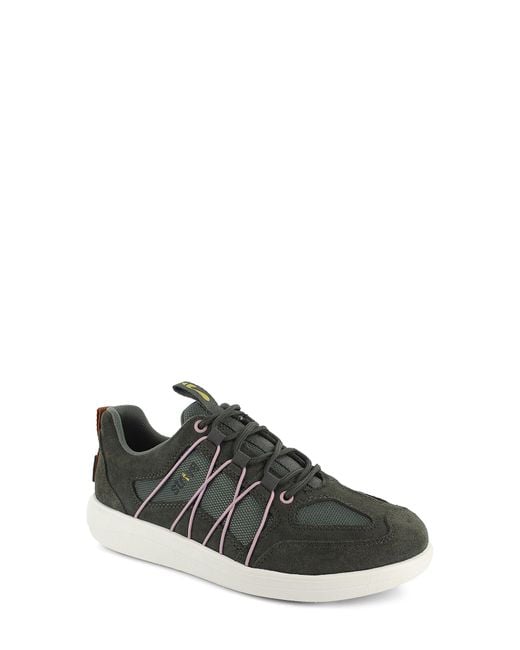 Strive Black Lisbon Sneaker