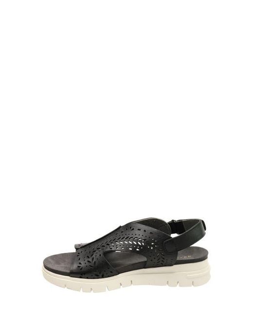 David Tate Black Moda Slingback Platform Wedge Sandal