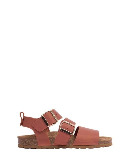 Celtic & Co. Brown Triple Strap Sandal