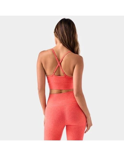 Tavi Red Cloud Boost Bra