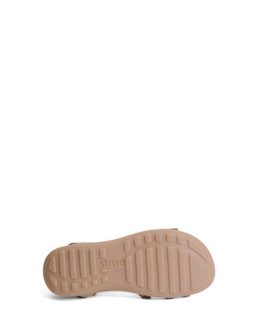 Strive Brown Float Ii Sandal