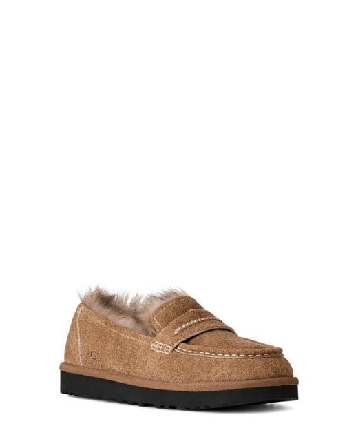 Ugg Brown Ellis Wool Loafer