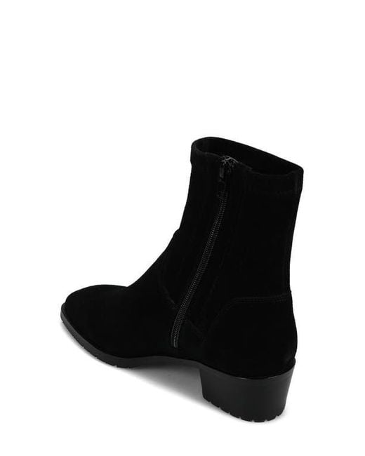 Vaneli Black Oleg Bootie