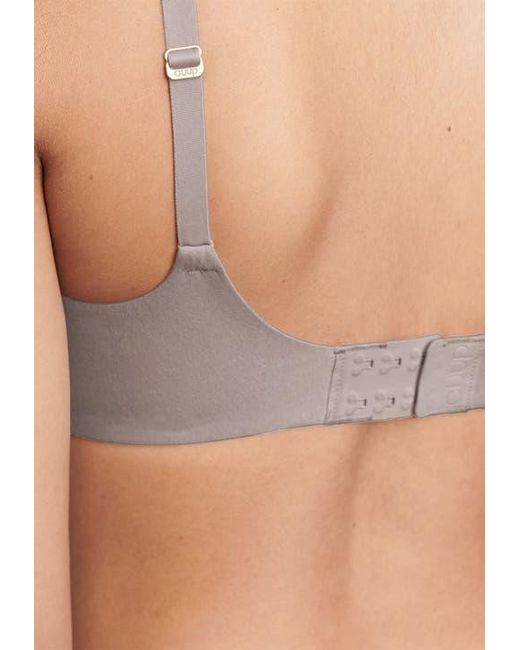 CUUP Gray The Scoop Bra