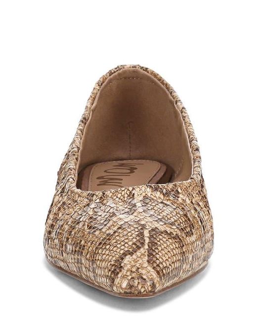Sam Edelman Brown Essex Pointed Toe Flat