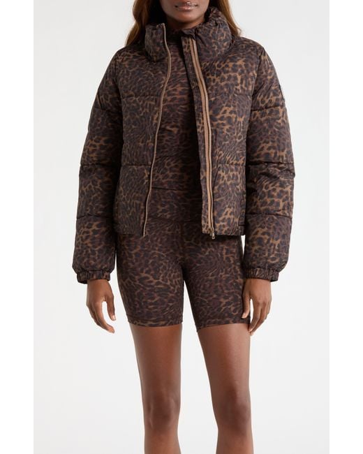 Mpg Brown Water Resistant Leopard Print Puffer Jacket