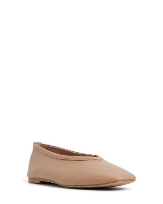 ALDO Brown Eleynora Ballet Flat