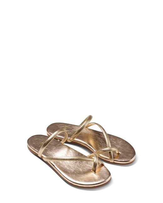 Beek Metallic Sunbird Slide Sandal