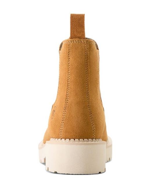 Ariat Brown Lug Sole Chelsea Boot