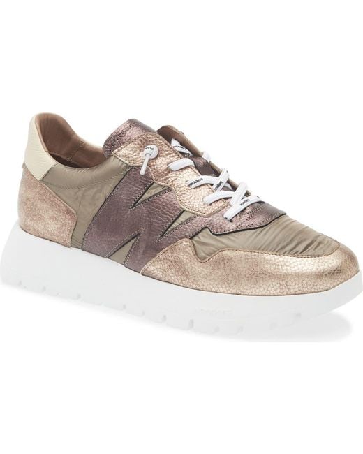 Wonders Gray A-2491 Sneaker