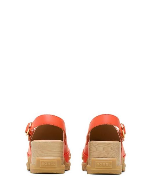 Sorel Orange Roam'N Rvt Clog