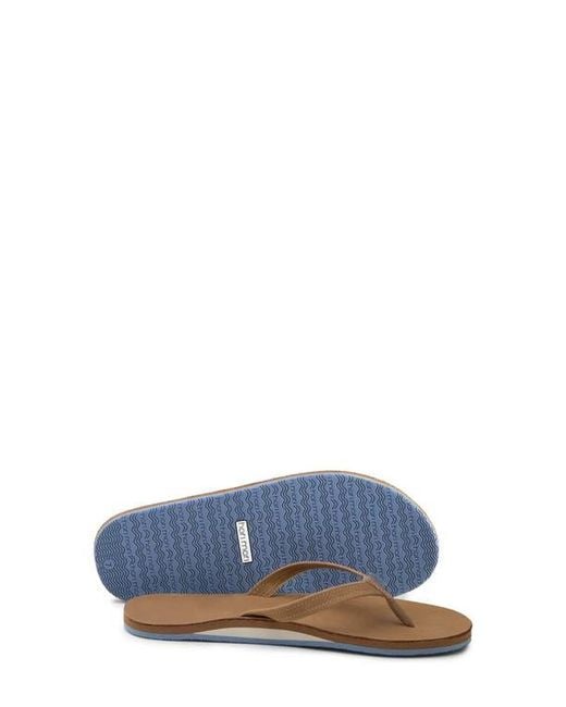 Hari Mari Multicolor Fields Flip Flop