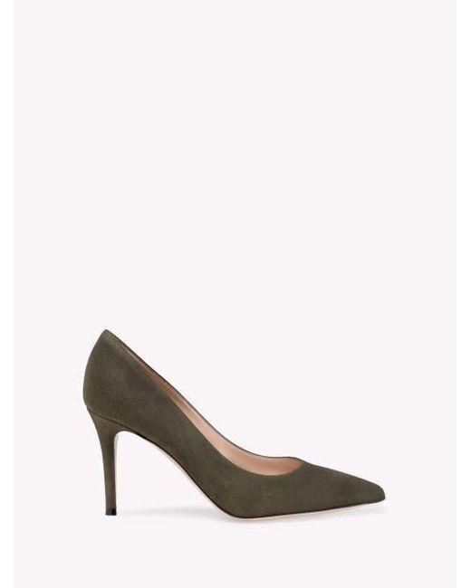 Gianvito Rossi Multicolor Gianvito 85 Pumps