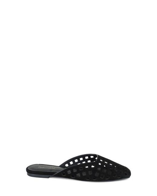 Splendid Black Remi Geo Cutout Flat