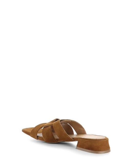 Bos. & Co. Brown Ellis Slide Sandal
