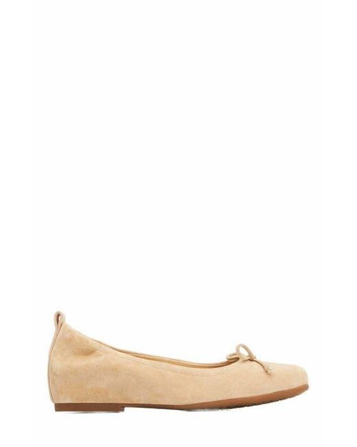 ABEO White Cadence Bow Ballet Flat