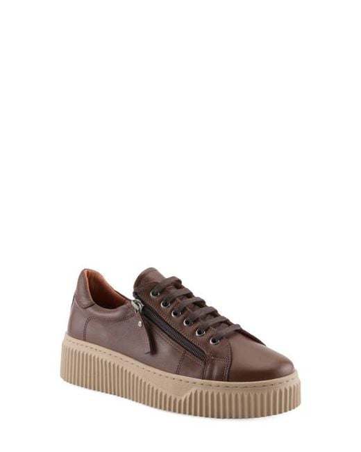 Spring Step Brown Vibe Leather Sneaker