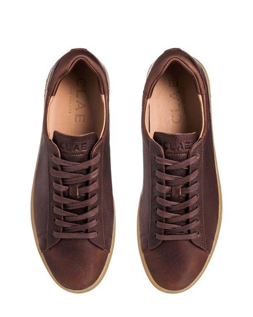 CLAE Brown Bradley Sneaker for men