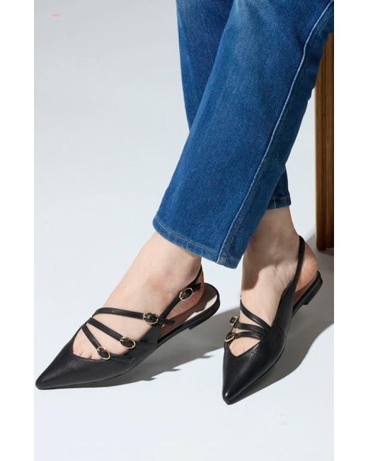 Yosi Samra Black Ava Slingback Pointed Toe Flat